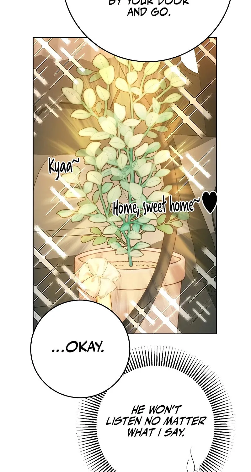 Spring Fever Chapter 5 page 64 - 