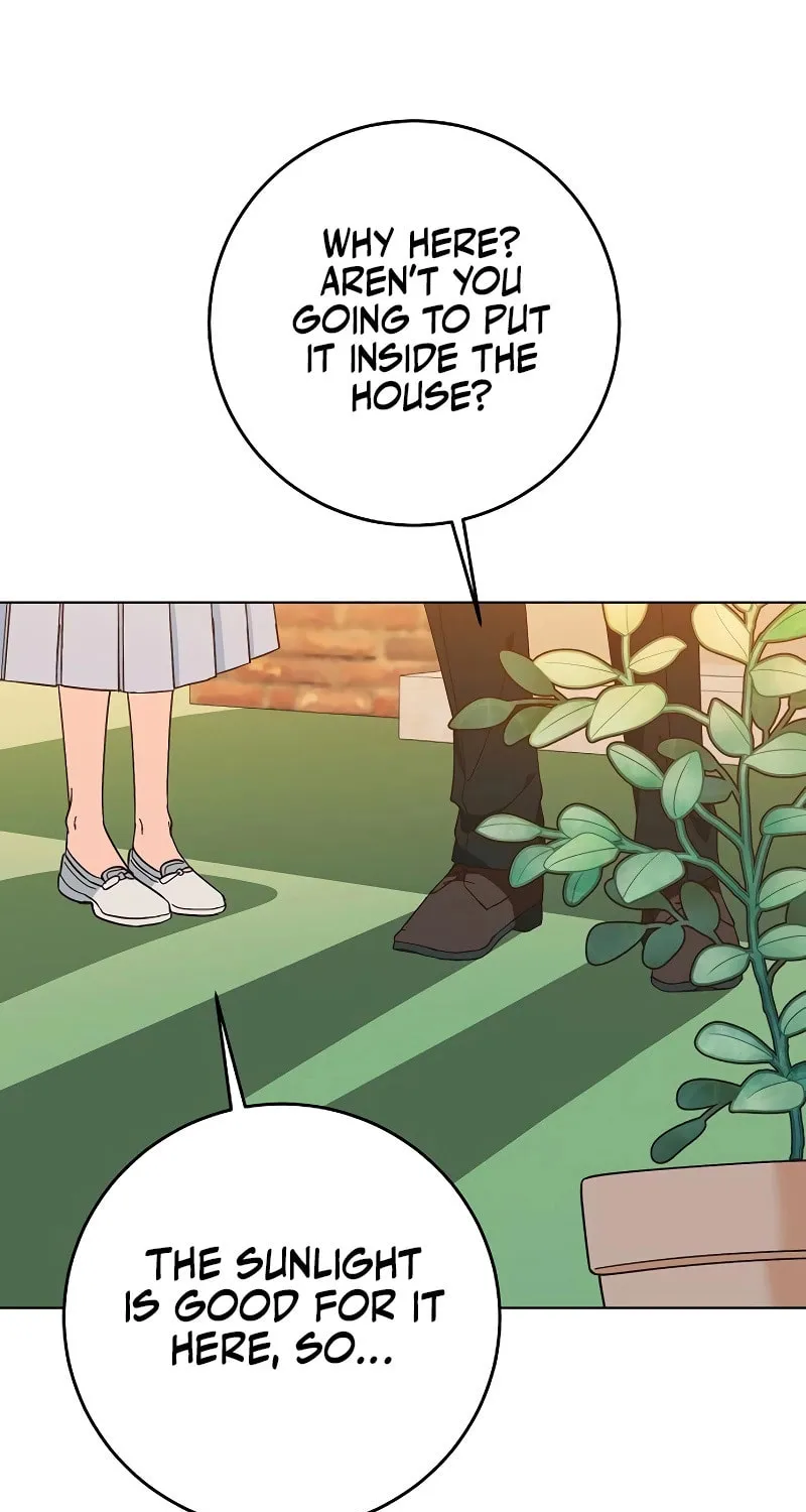 Spring Fever Chapter 5 page 77 - 