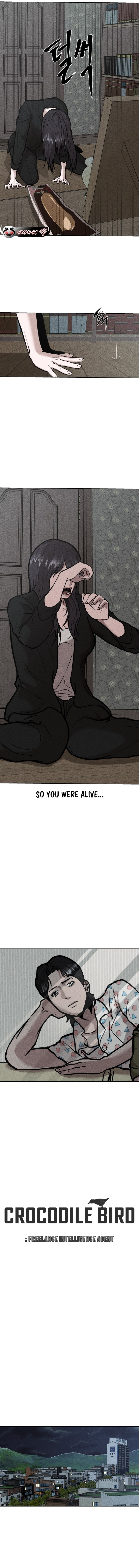 Spy Crocodile Bird Chapter 3 page 10 - 