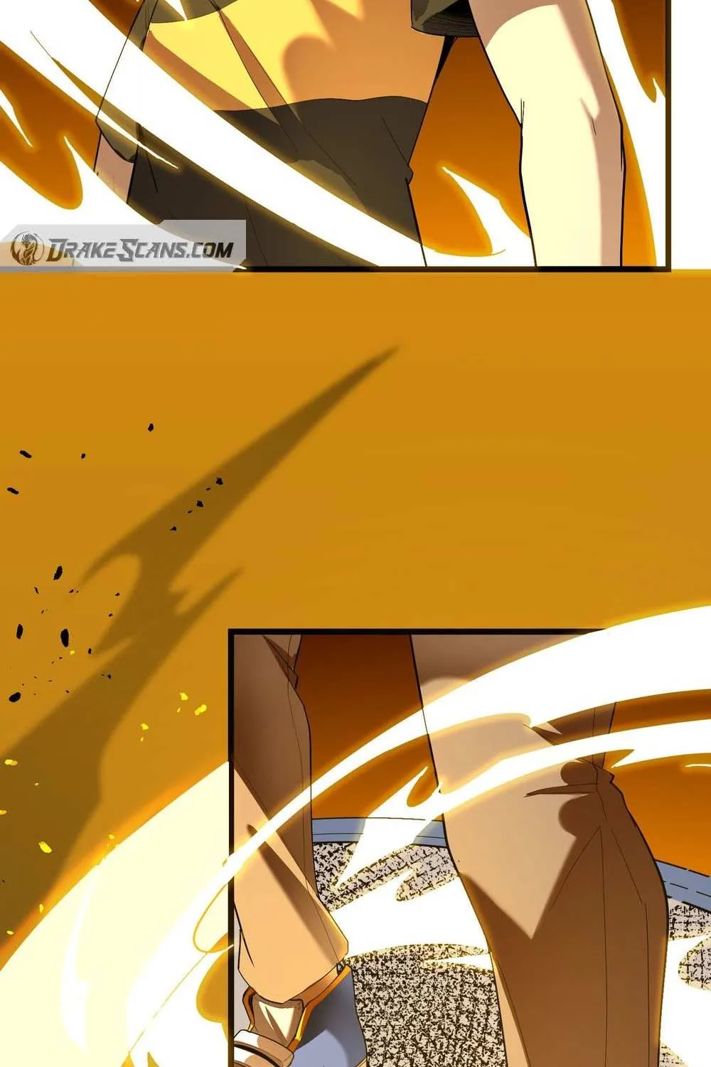 SSS-Rank Paladin Who Transcends Common Sense Chapter 1 page 213 - 