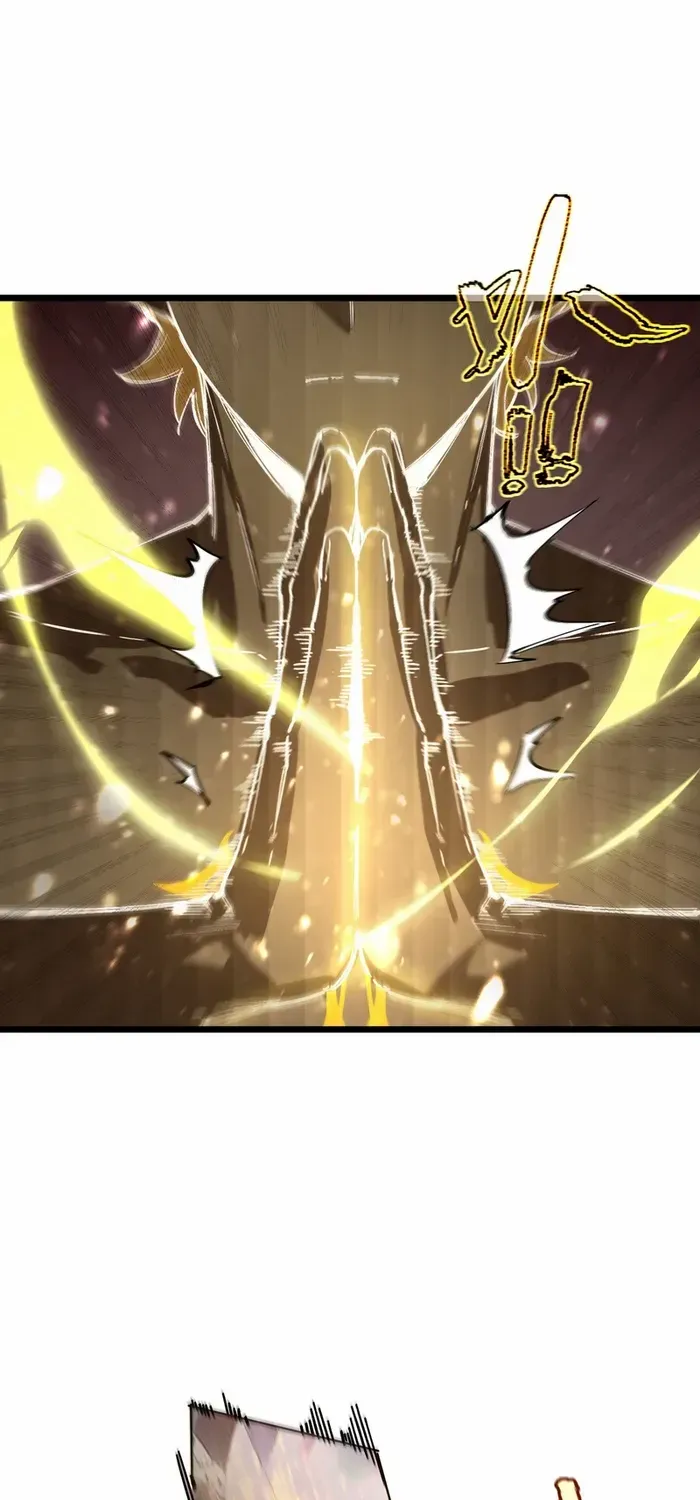 SSS-Rank Paladin Who Transcends Common Sense Chapter 105 page 43 - 
