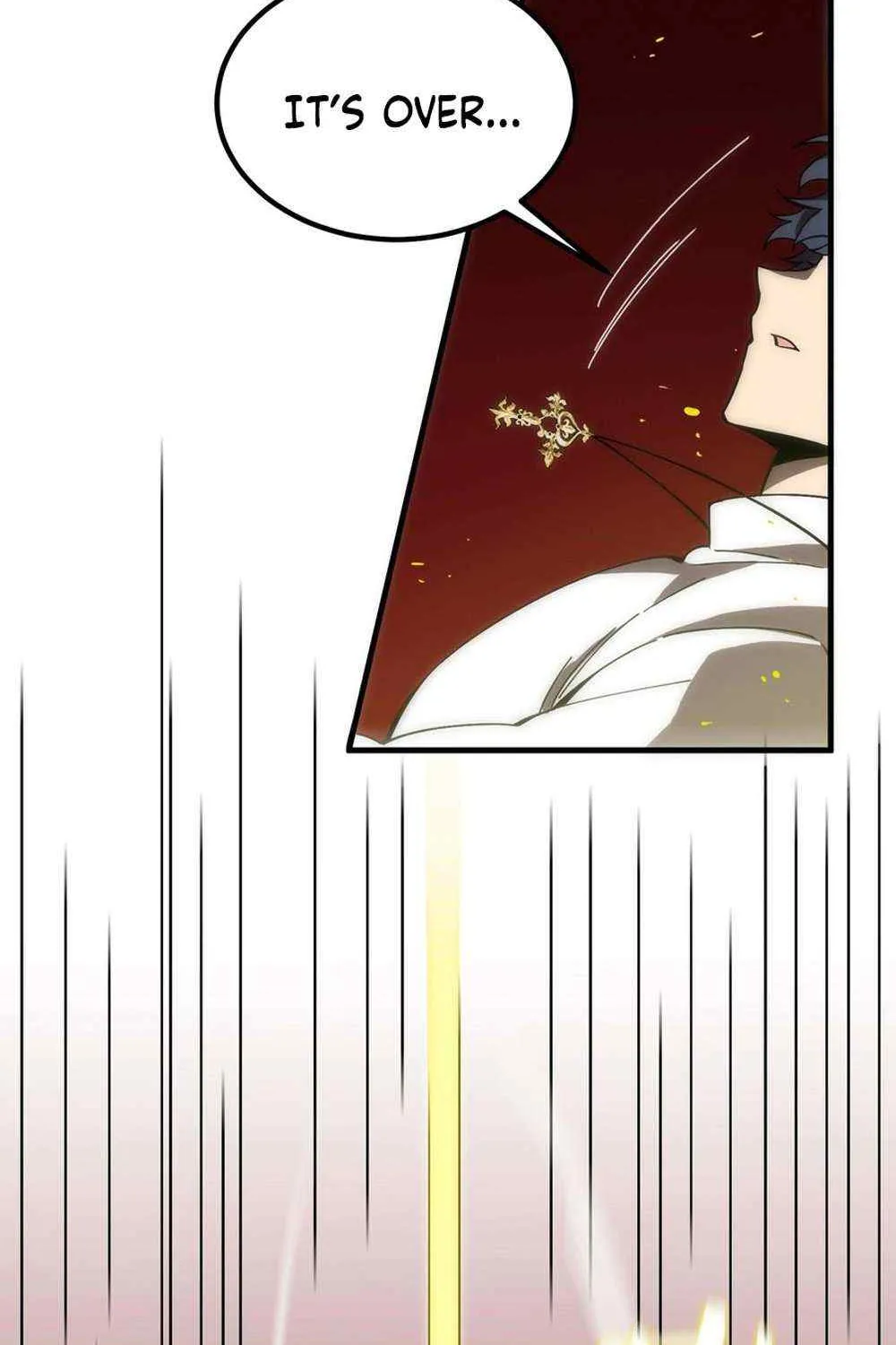 SSS-Rank Paladin Who Transcends Common Sense Chapter 16 page 100 - 