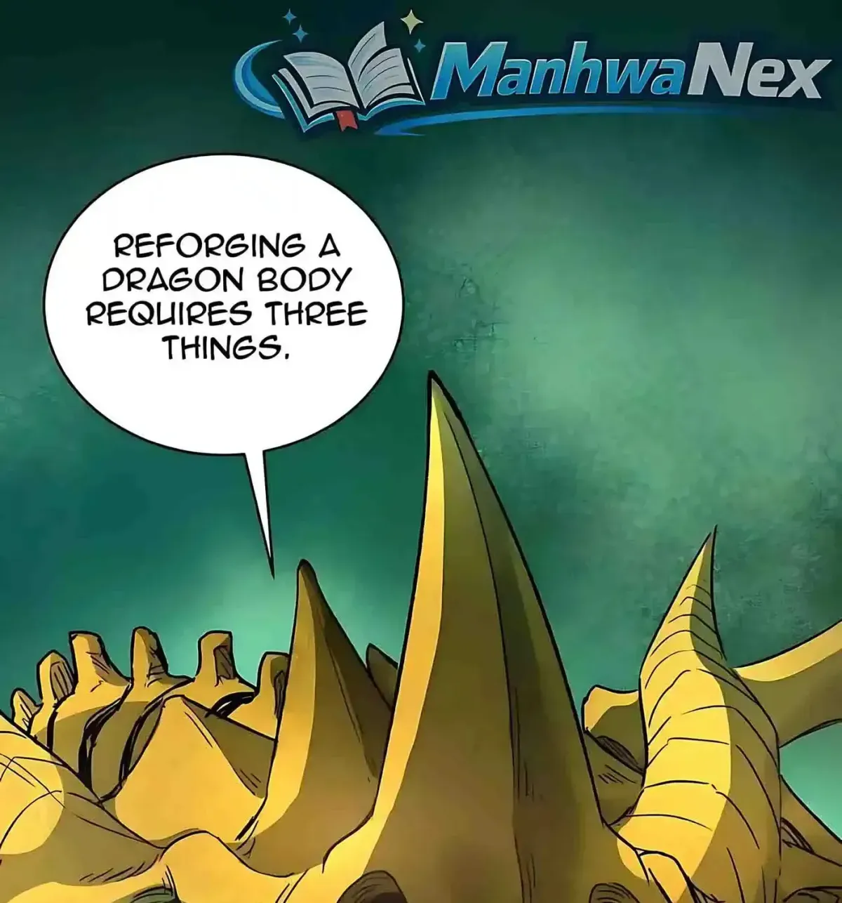 SSS-Rank Paladin Who Transcends Common Sense Chapter 170 page 14 - 