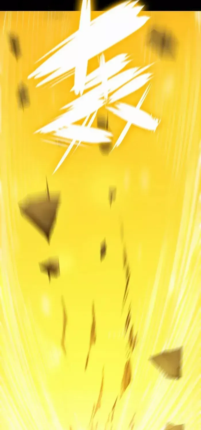 SSS-Rank Paladin Who Transcends Common Sense Chapter 24 page 48 - 