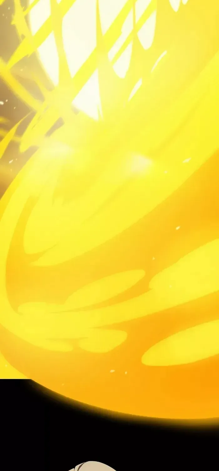 SSS-Rank Paladin Who Transcends Common Sense Chapter 25 page 13 - 