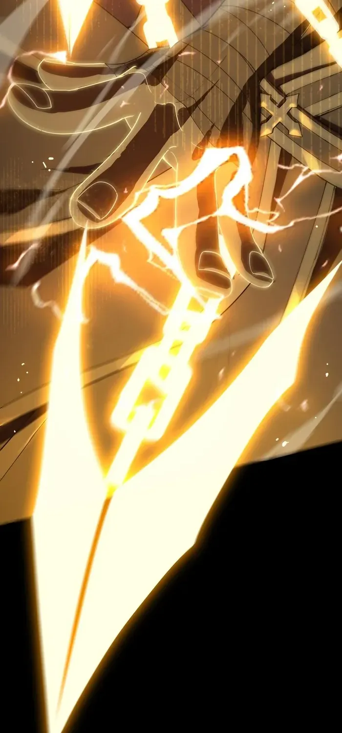 SSS-Rank Paladin Who Transcends Common Sense Chapter 37 page 33 - 