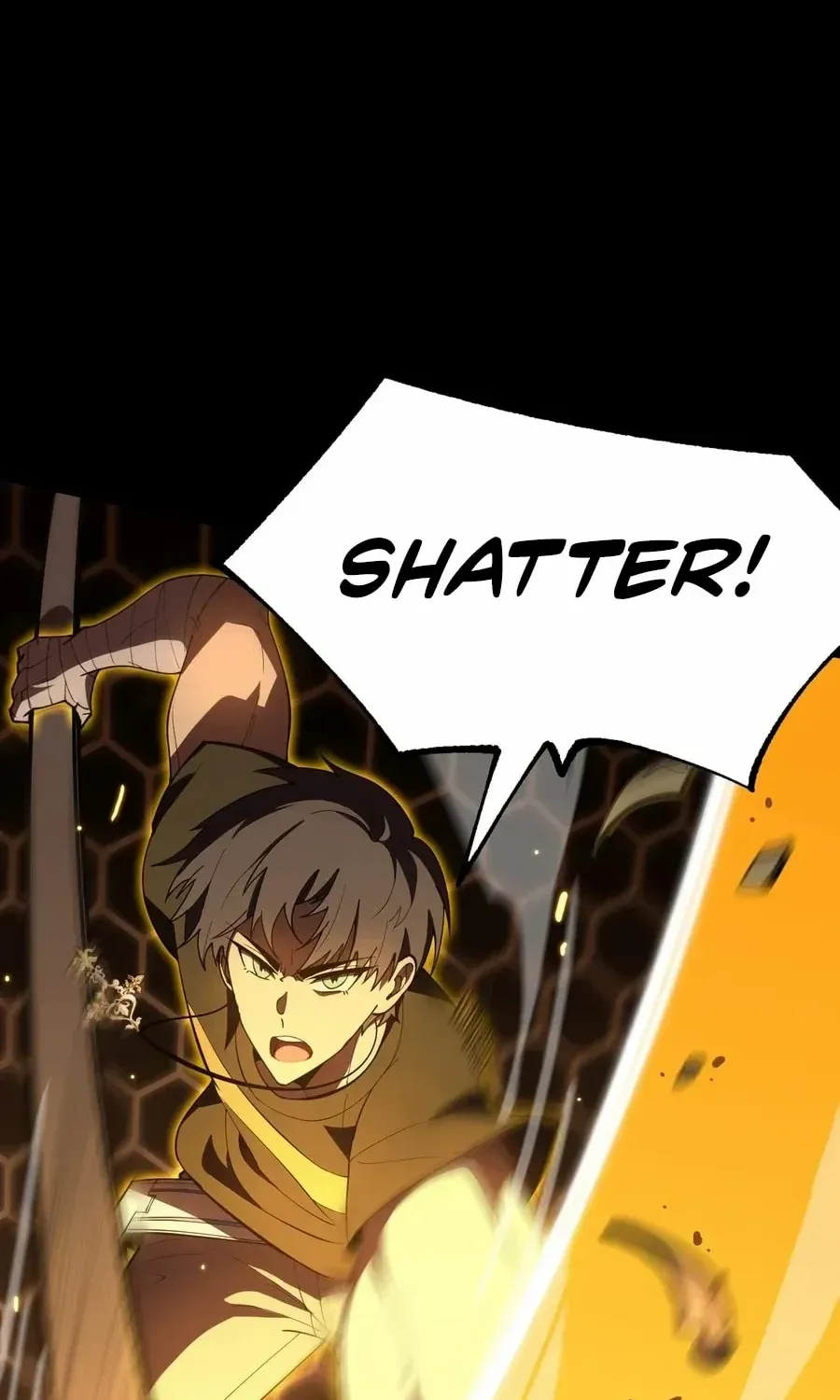 SSS-Rank Paladin Who Transcends Common Sense Chapter 44 page 97 - 