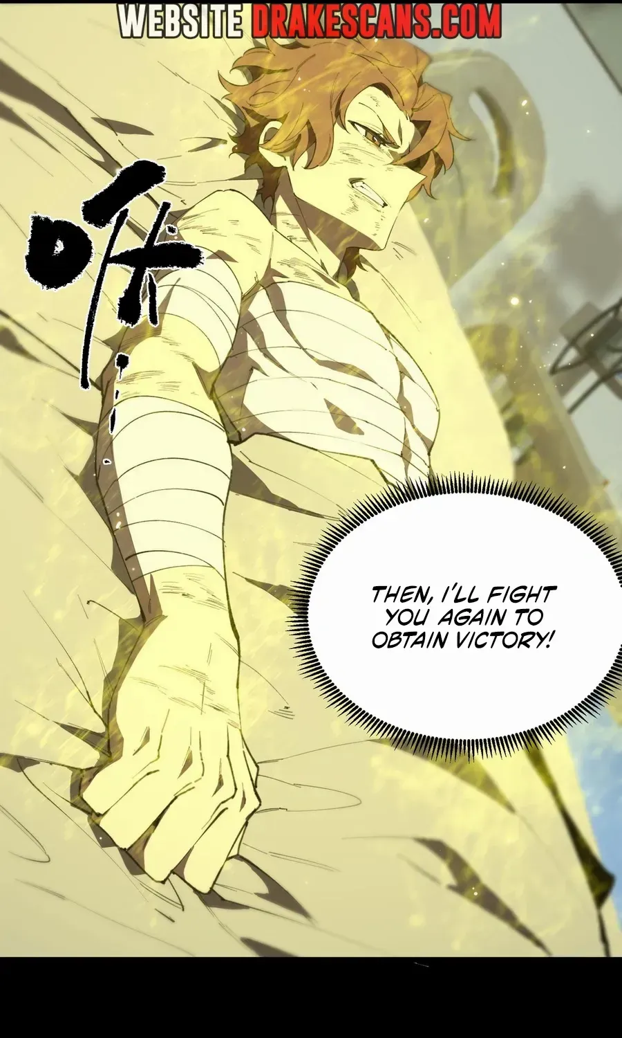SSS-Rank Paladin Who Transcends Common Sense Chapter 47 page 16 - 
