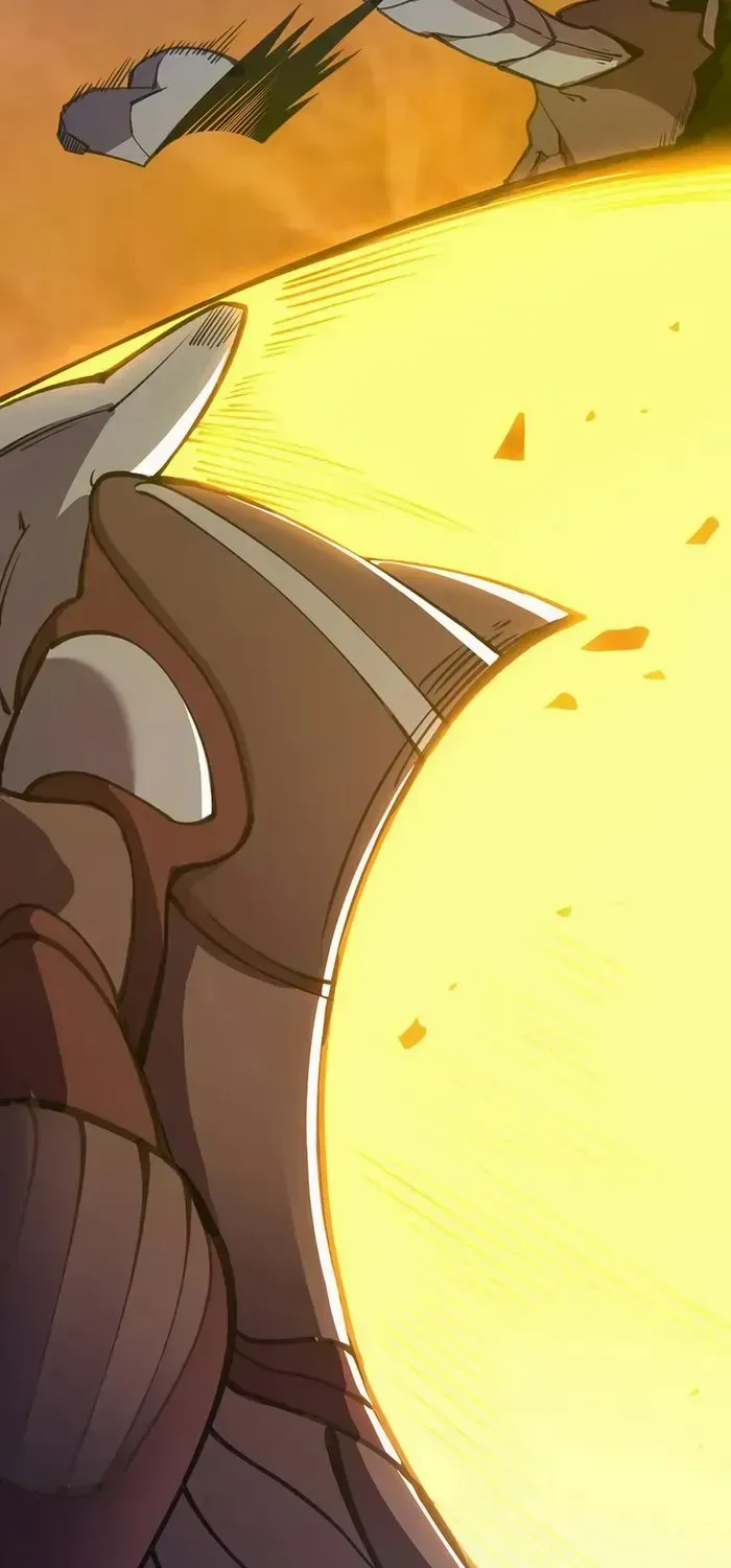SSS-Rank Paladin Who Transcends Common Sense Chapter 58 page 43 - 