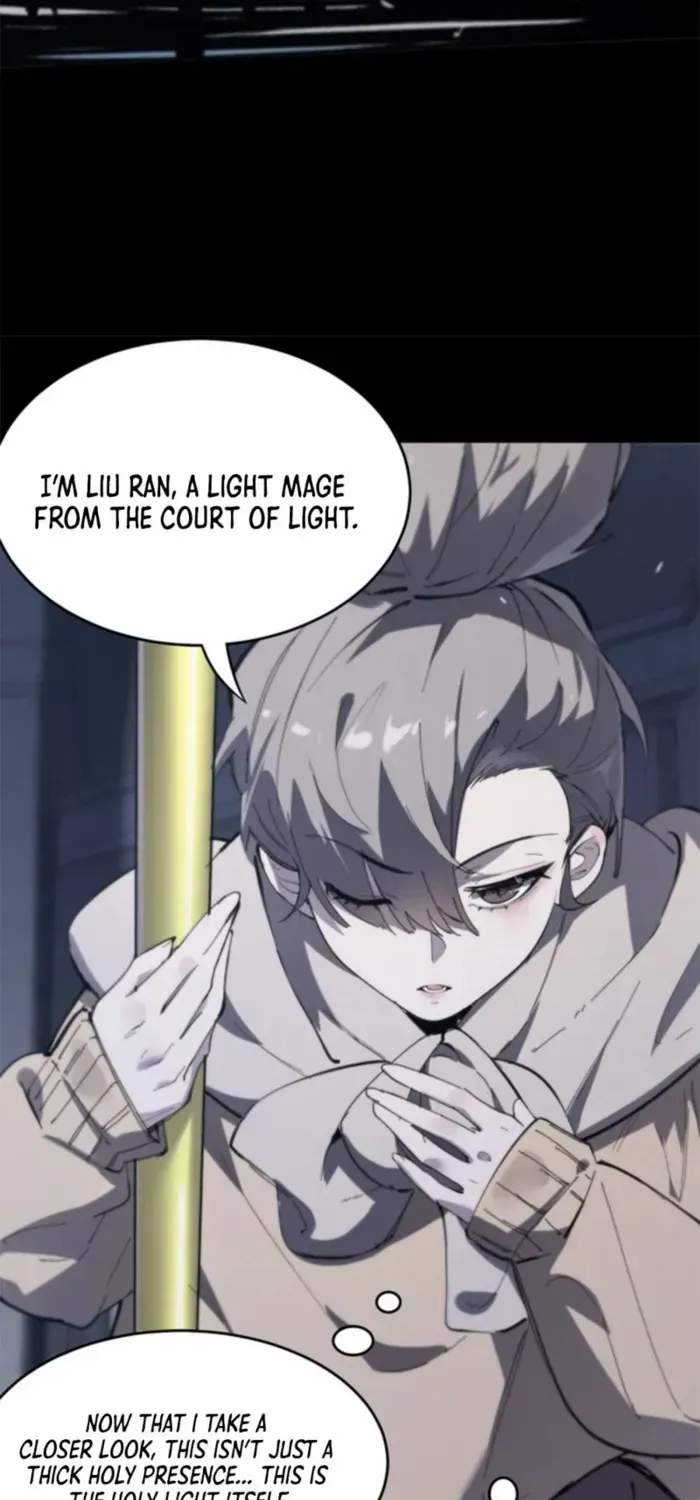 SSS-Rank Paladin Who Transcends Common Sense Chapter 73 page 51 - 