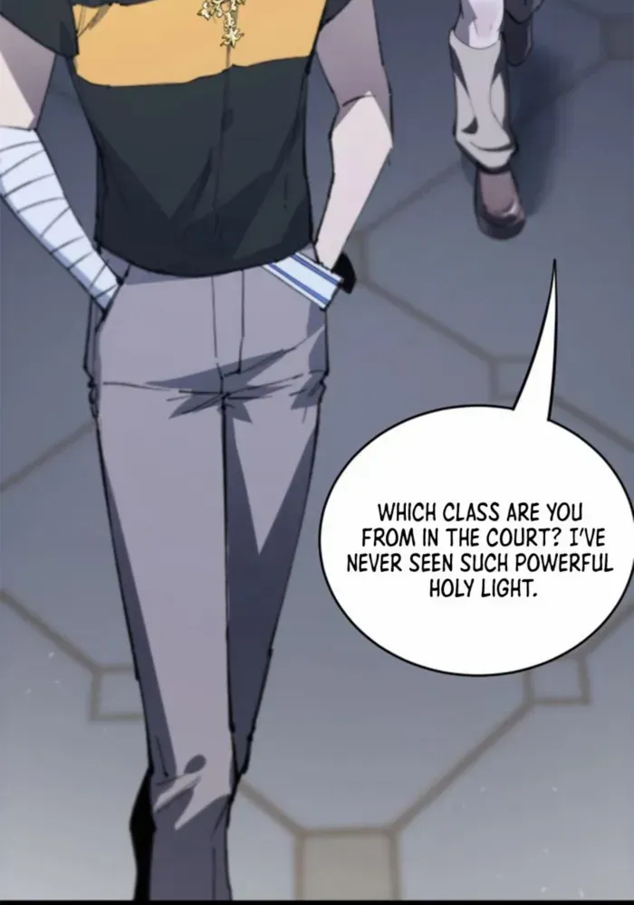 SSS-Rank Paladin Who Transcends Common Sense Chapter 73 page 54 - 