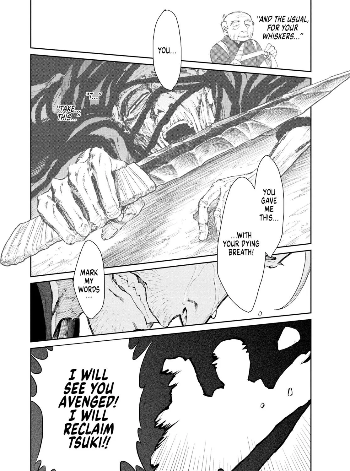 Steel of the Celestial Shadows Chapter 15 page 9 - 