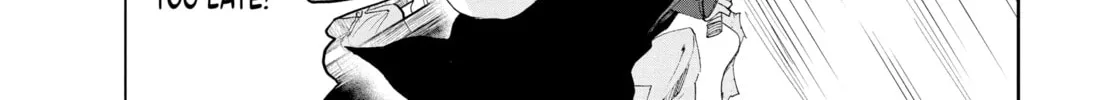Steel of the Celestial Shadows Chapter 17 page 26 - 