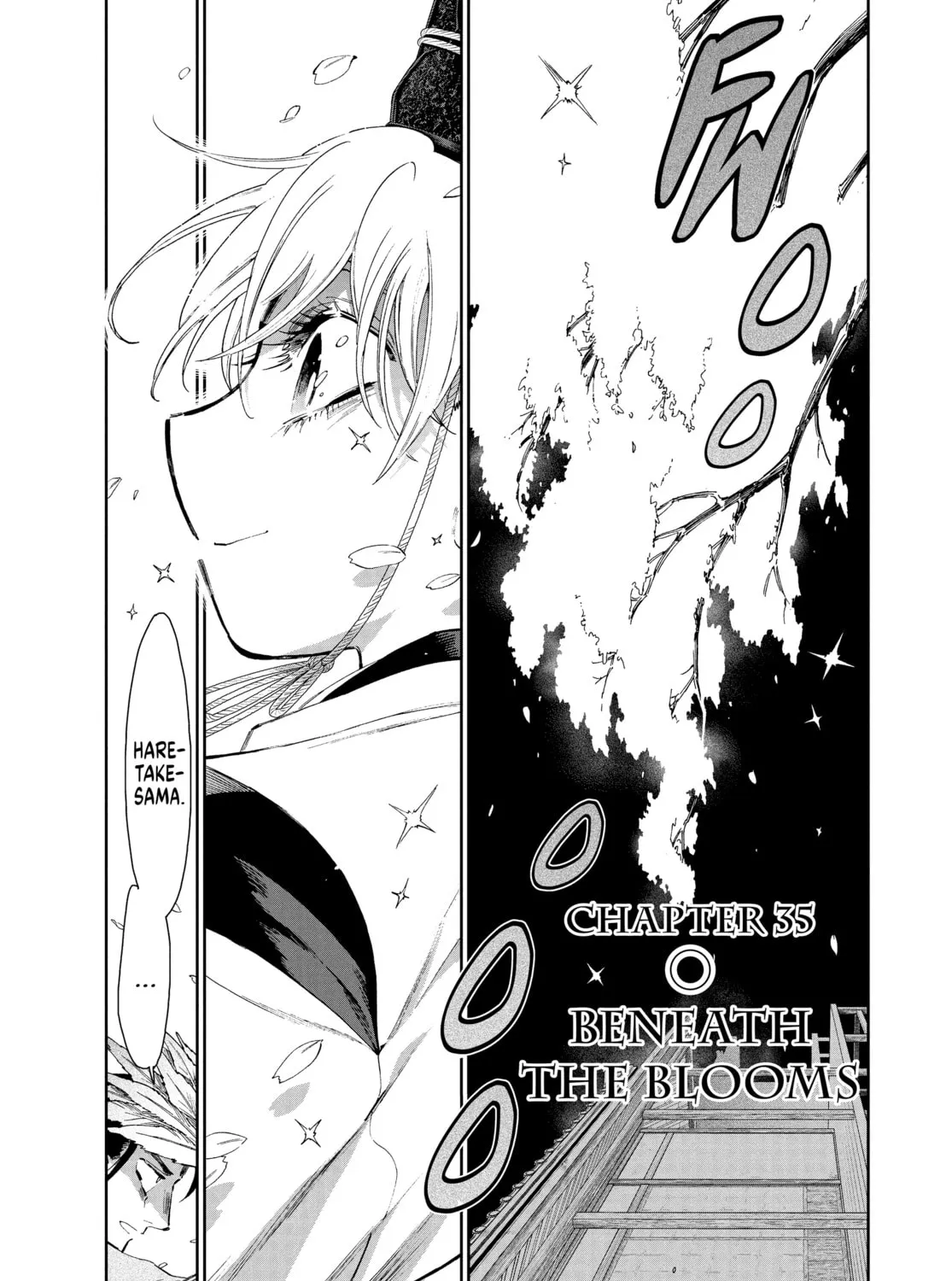 Steel of the Celestial Shadows Chapter 35 page 1 - 
