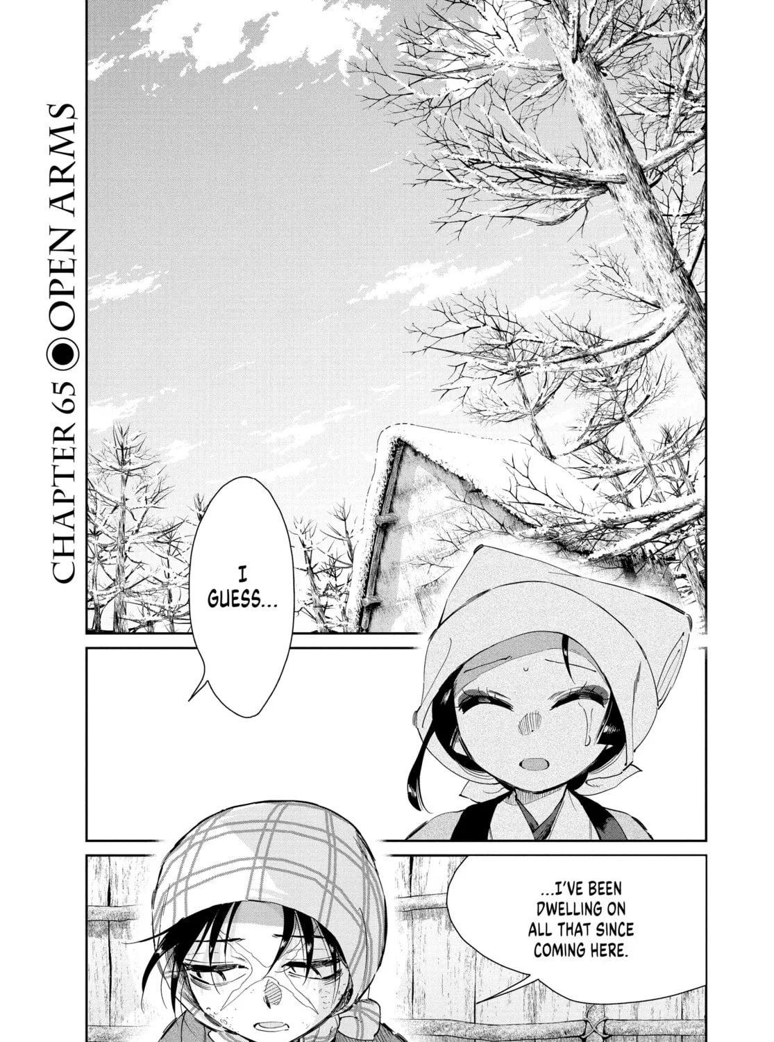 Steel of the Celestial Shadows Chapter 65 page 1 - 