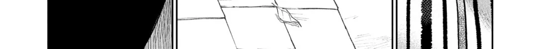 Steel of the Celestial Shadows Chapter 66 page 12 - 