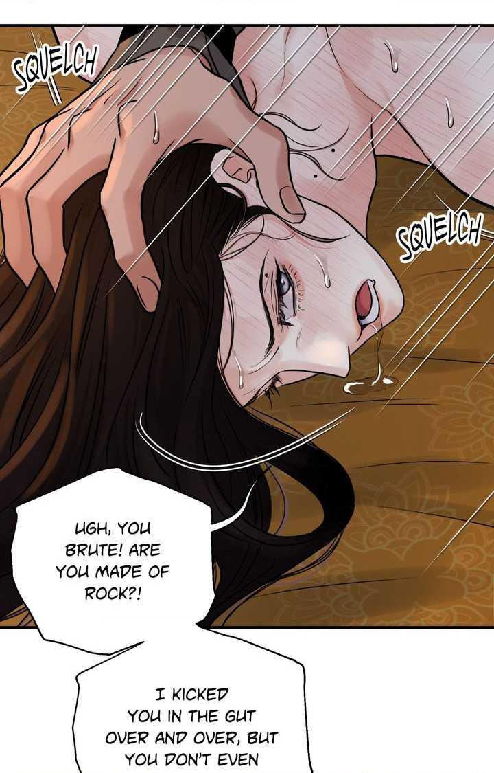 Steel Under Silk [ OFFICIAL  Translation ] Chapter 108.7 page 14 - 
