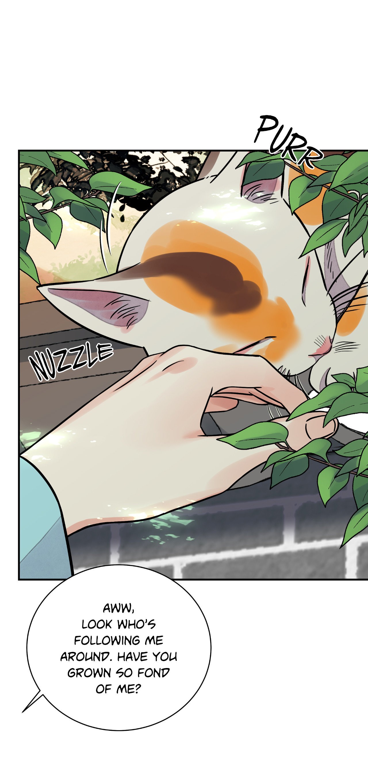 Steel Under Silk [ OFFICIAL  Translation ] Chapter 68 page 5 - 