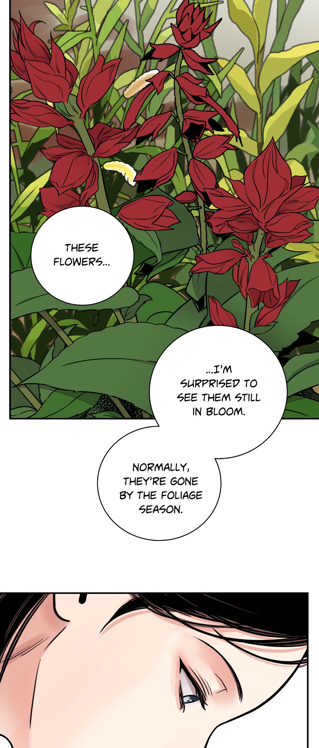 Steel Under Silk [ OFFICIAL  Translation ] Chapter 70 page 34 - 