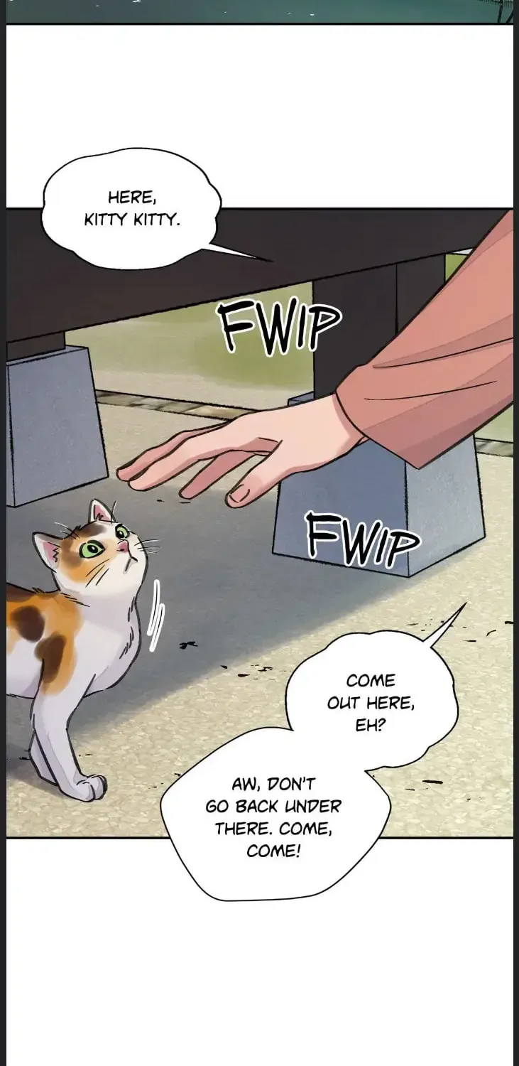 Steel Under Silk Chapter 38 page 38 - 
