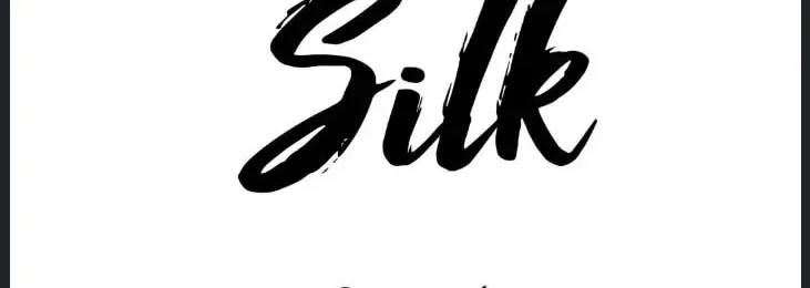 Steel Under Silk Chapter 52 page 20 - 