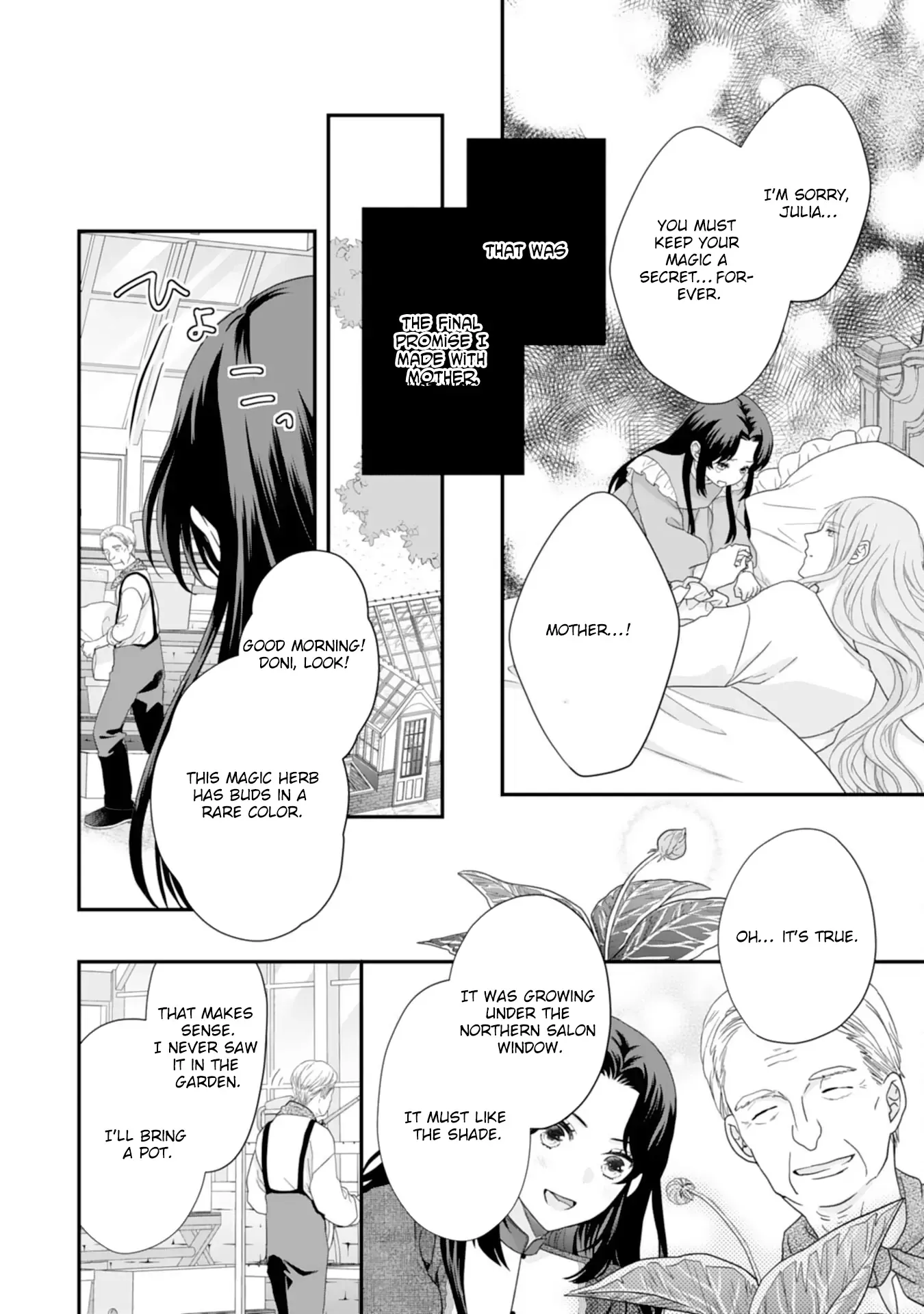 Stepmother to the Twin Princes: Who Cares if I