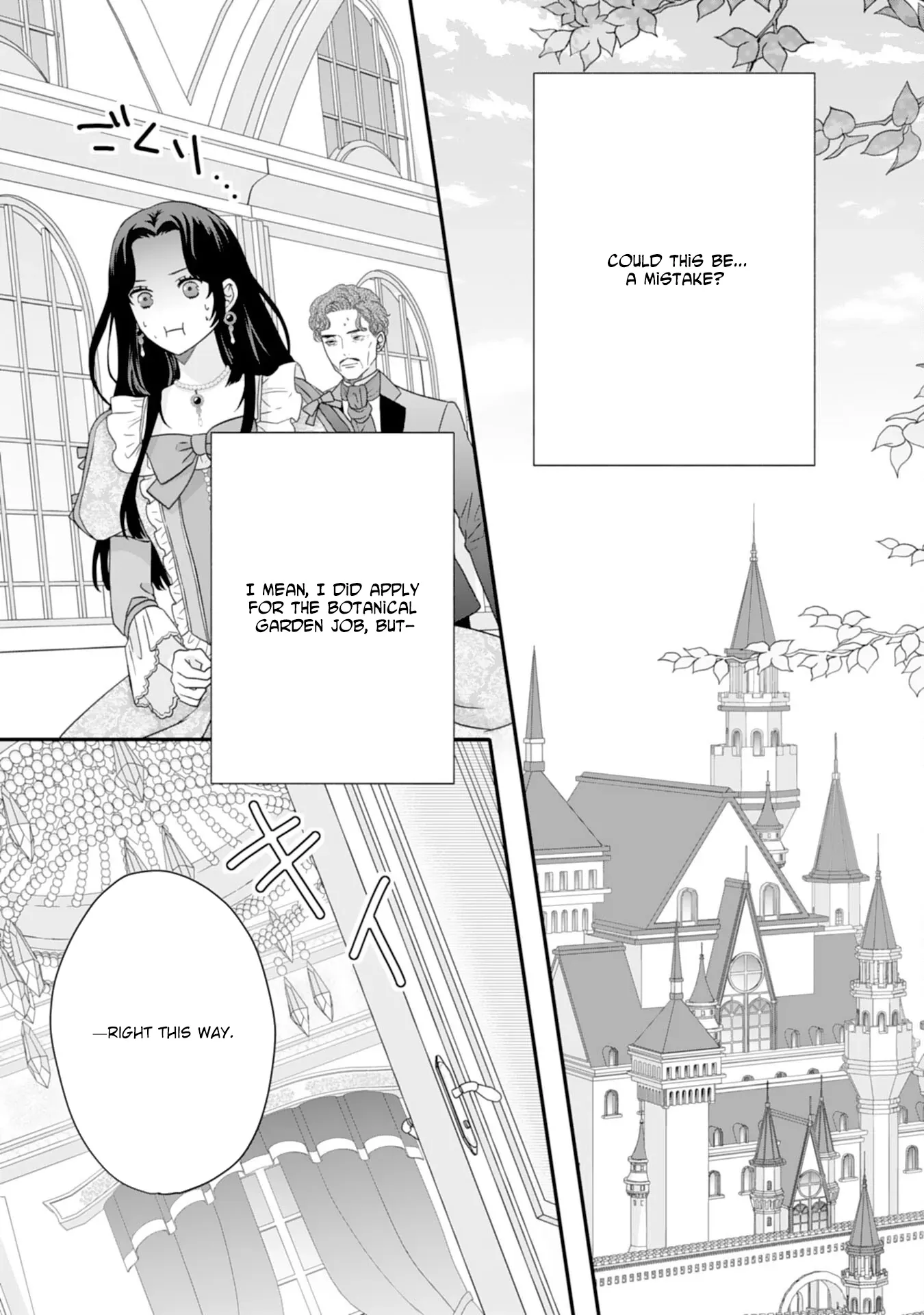 Stepmother to the Twin Princes: Who Cares if I
