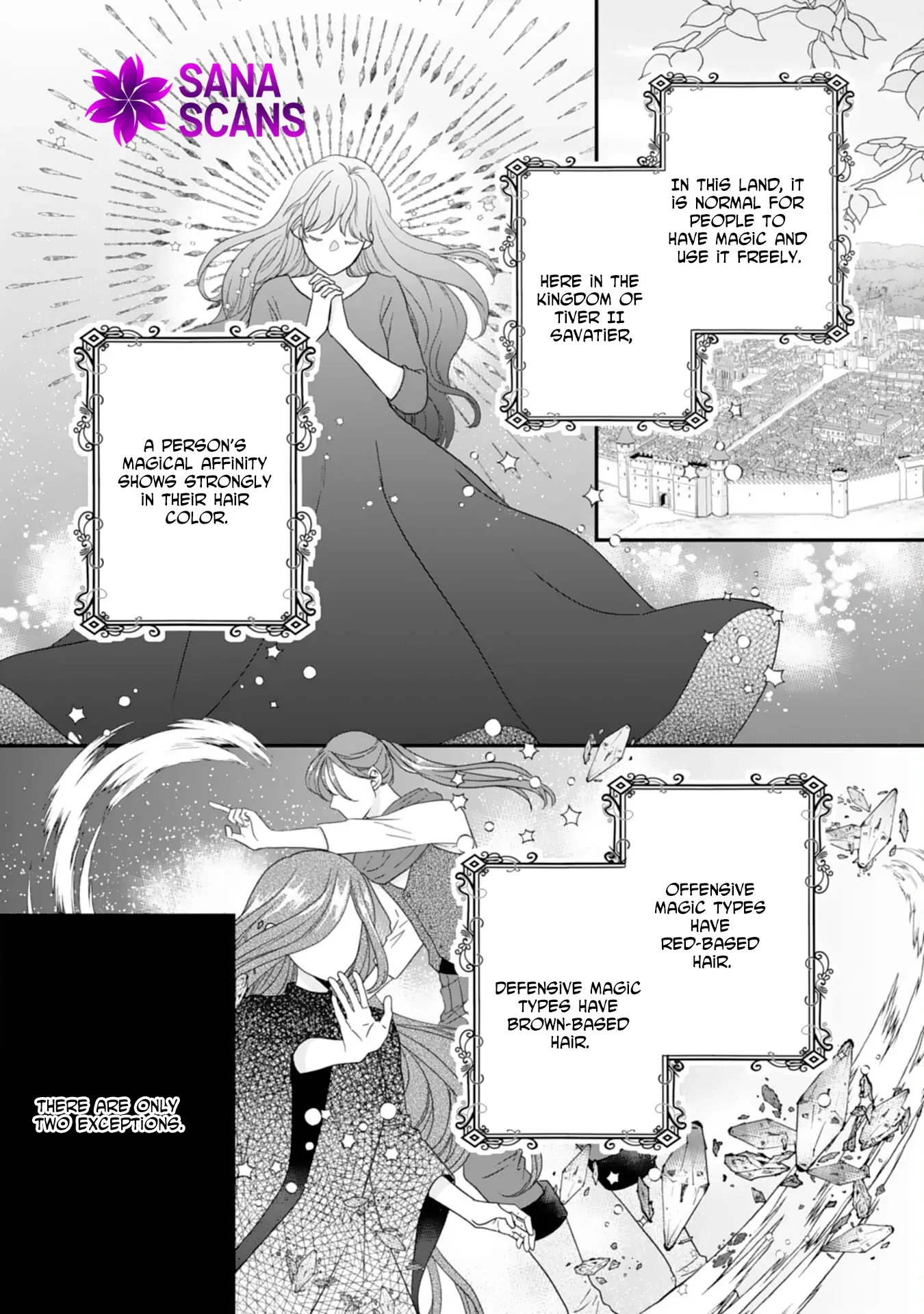Stepmother to the Twin Princes: Who Cares if I