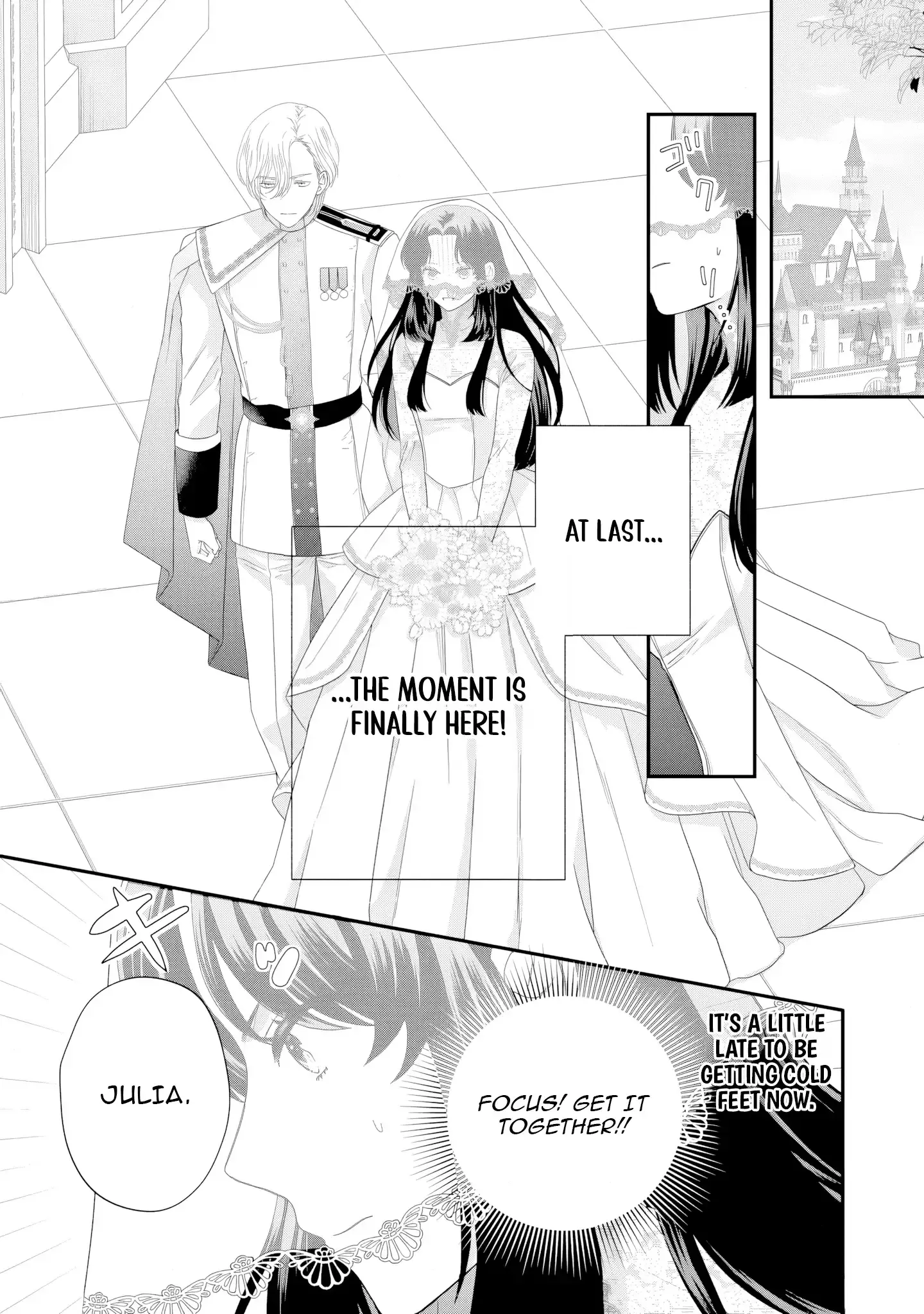 Stepmother to the Twin Princes: Who Cares if I