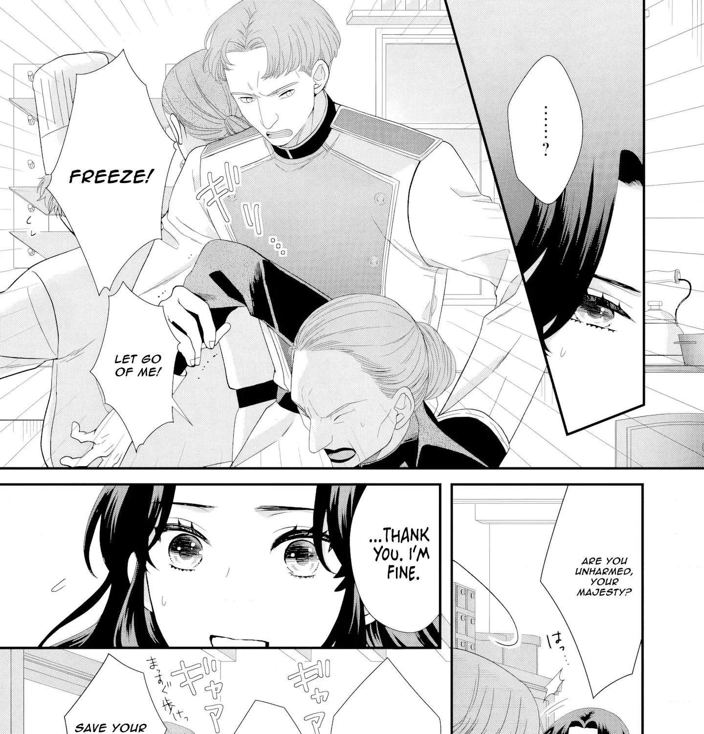 Stepmother to the Twin Princes: Who Cares if I