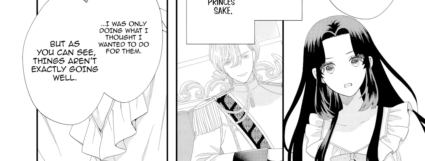 Stepmother to the Twin Princes: Who Cares if I
