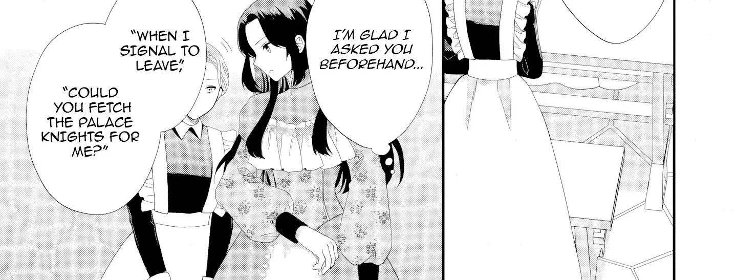 Stepmother to the Twin Princes: Who Cares if I