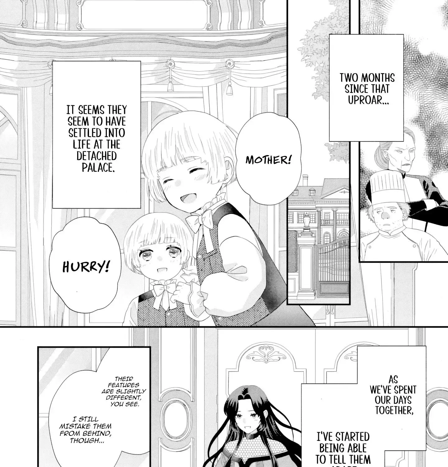 Stepmother to the Twin Princes: Who Cares if I