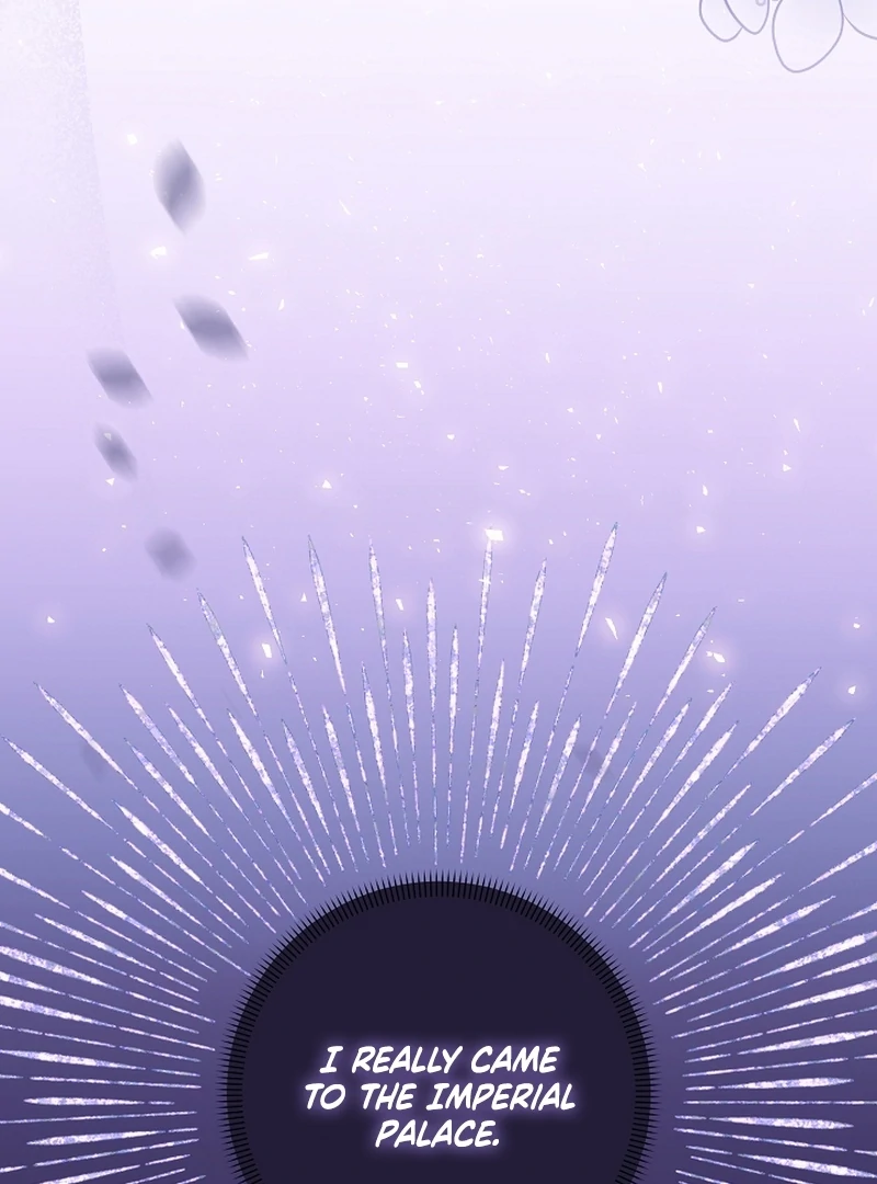 Stop Obsessing, Just Divorce Me! Chapter 11 page 23 - 
