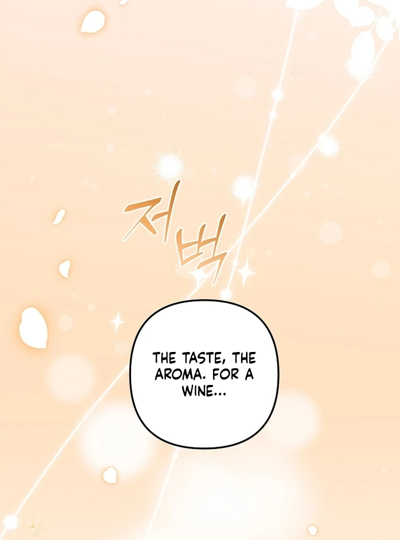 Stop Obsessing, Just Divorce Me! Chapter 11 page 94 - 