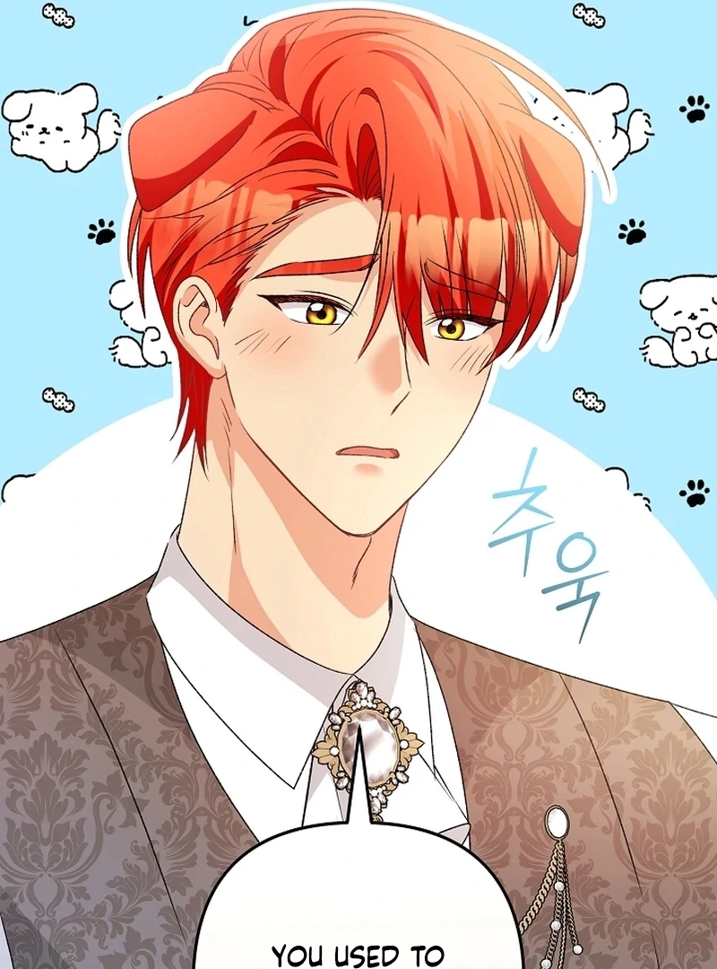Stop Obsessing, Just Divorce Me! Chapter 13 page 17 - 
