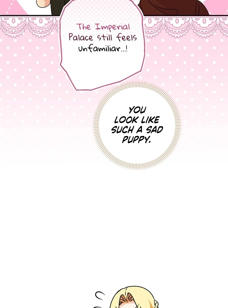 Stop Obsessing, Just Divorce Me! Chapter 13 page 20 - 