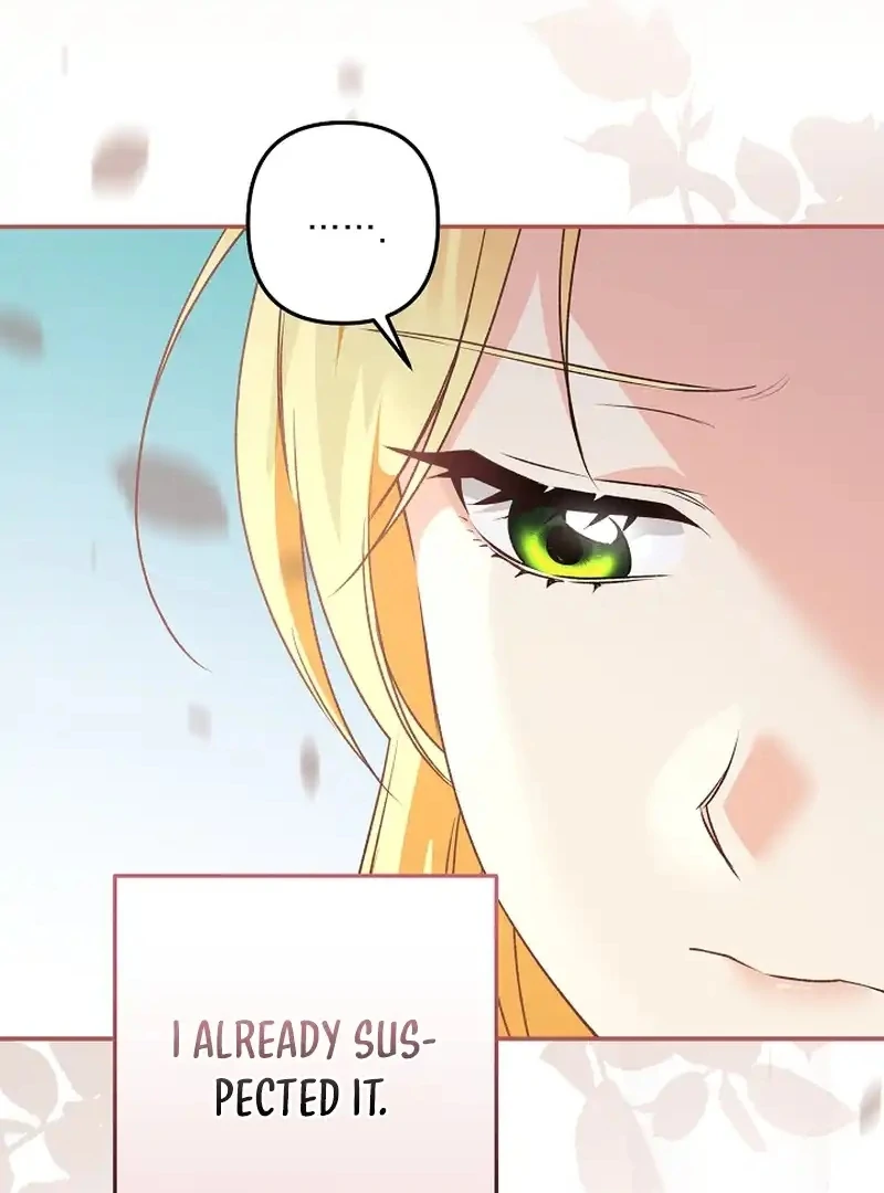 Stop Obsessing, Just Divorce Me! Chapter 14 page 25 - 
