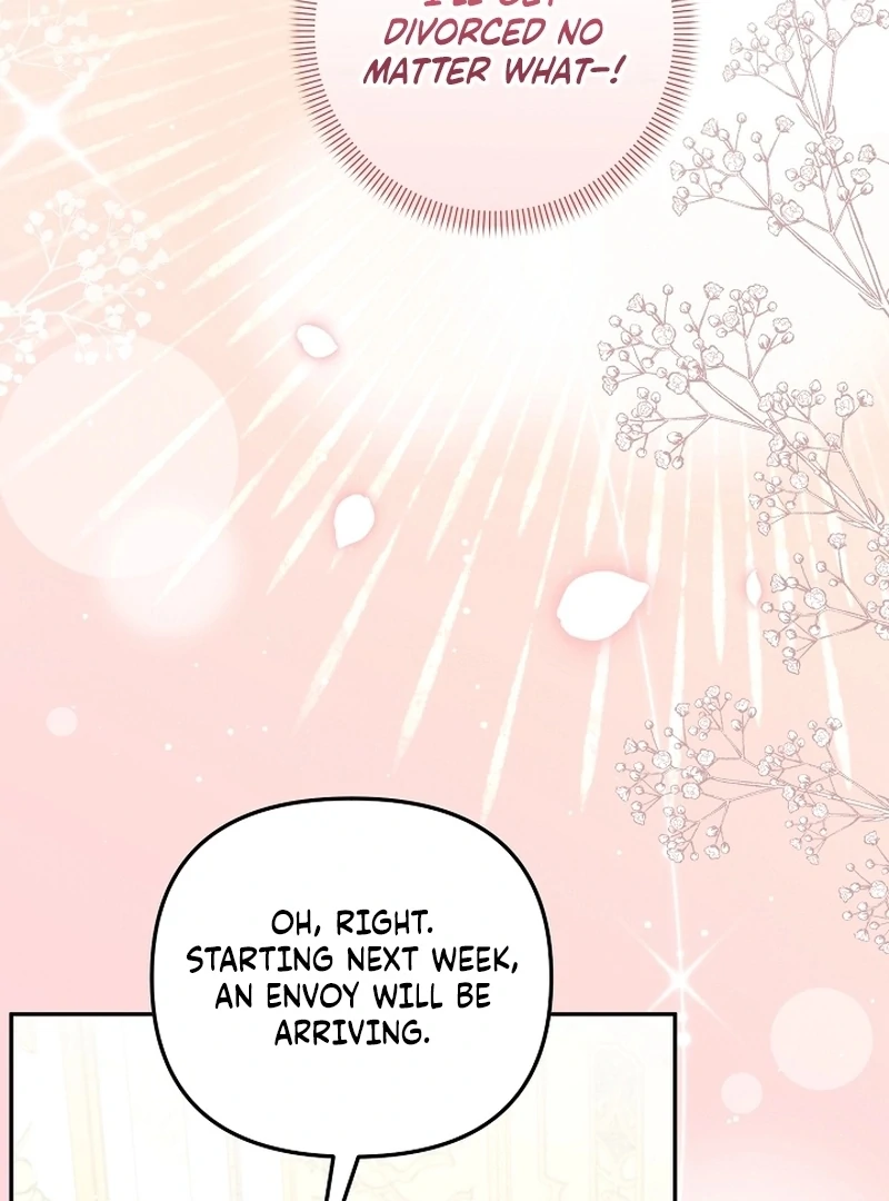 Stop Obsessing, Just Divorce Me! Chapter 15 page 95 - 