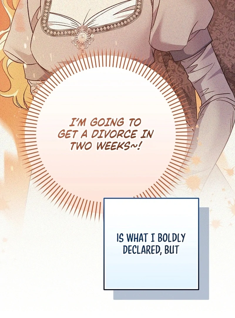 Stop Obsessing, Just Divorce Me! Chapter 16 page 2 - 