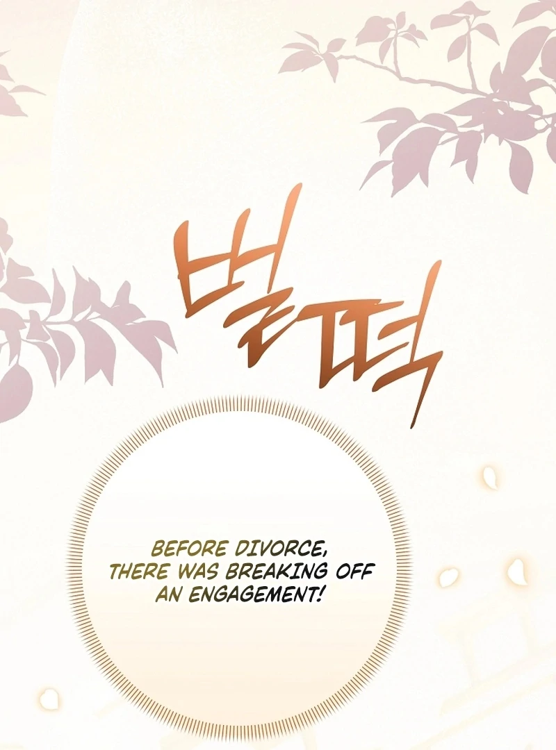 Stop Obsessing, Just Divorce Me! Chapter 16 page 19 - 