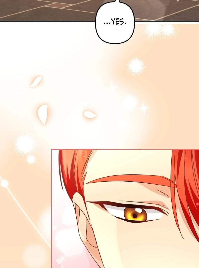 Stop Obsessing, Just Divorce Me! Chapter 17 page 113 - 