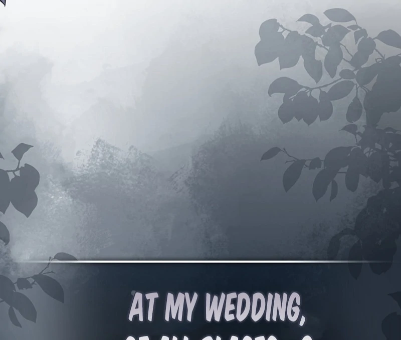 Stop Obsessing, Just Divorce Me! Chapter 18 page 155 - 