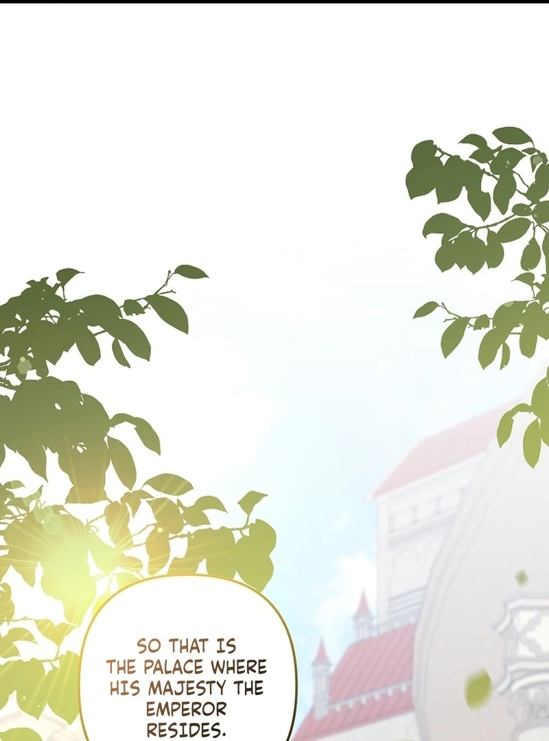 Stop Obsessing, Just Divorce Me! Chapter 21 page 1 - 