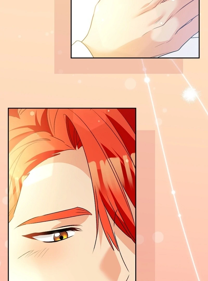 Stop Obsessing, Just Divorce Me! Chapter 21 page 98 - 