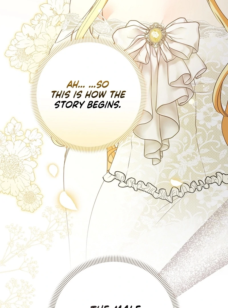 Stop Obsessing, Just Divorce Me! Chapter 23 page 9 - 