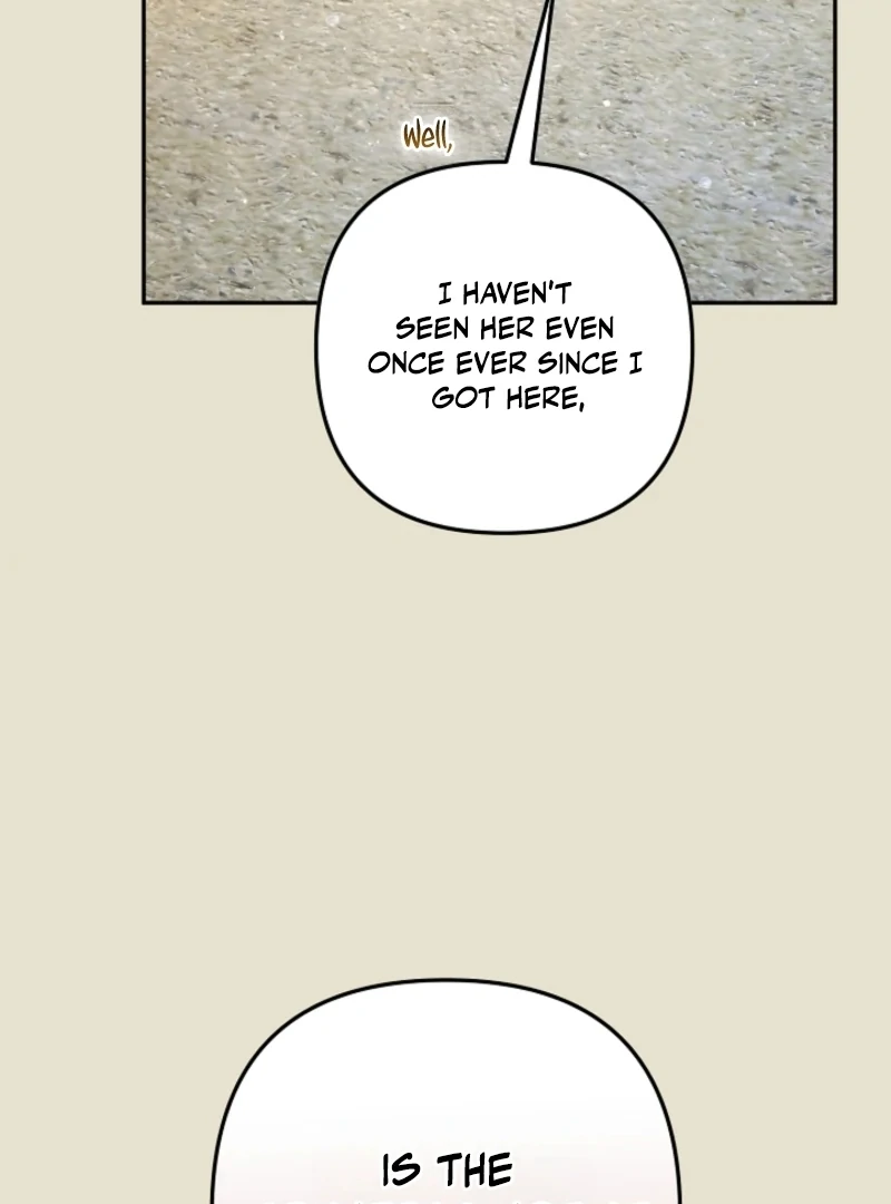 Stop Obsessing, Just Divorce Me! Chapter 4 page 103 - 