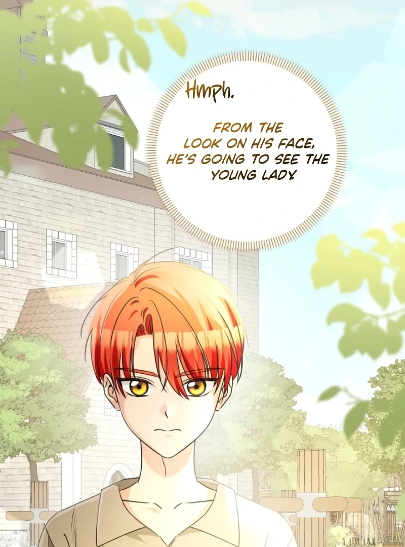 Stop Obsessing, Just Divorce Me! Chapter 4 page 123 - 