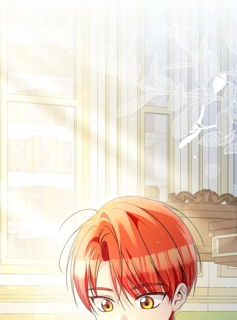 Stop Obsessing, Just Divorce Me! Chapter 4 page 75 - 