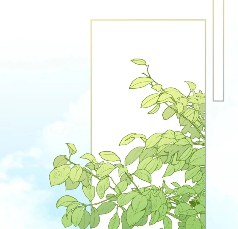 Stop Obsessing, Just Divorce Me! Chapter 5 page 66 - 
